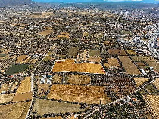 Milas Zeytinpark Arkasında İmara Sınır 230m Fırsat Parseller