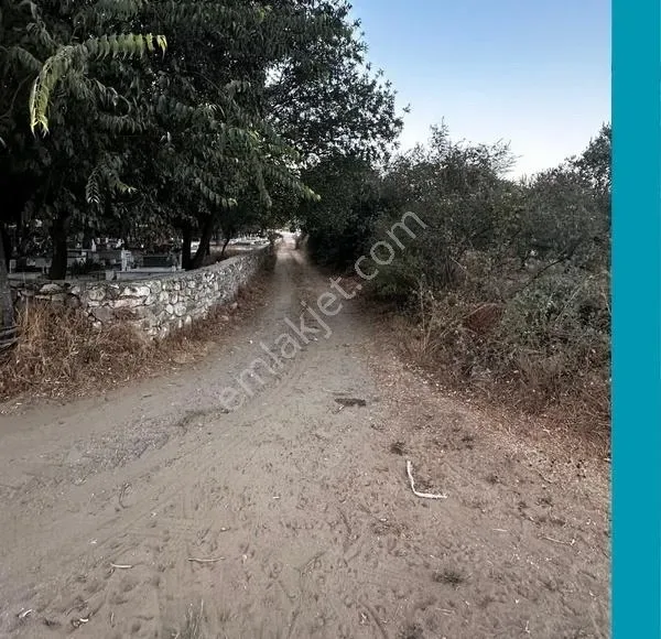 Tuzabat'da Anayol Dibinde Kiraz Bahçesi